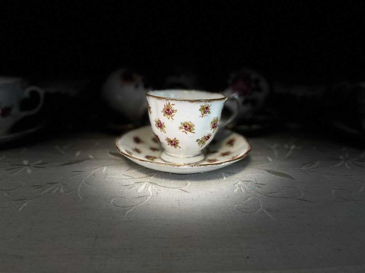 Vintage Royal Albert Tea Cup & Saucer Set